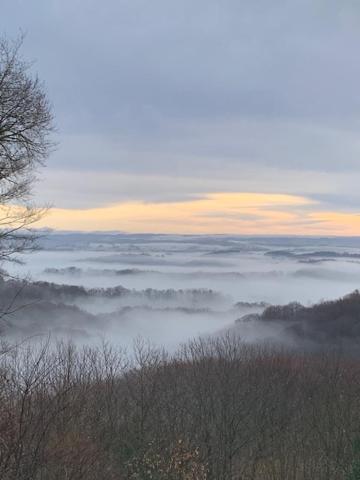 La Gazouillerie - Pleine Nature Lauresses Kültér fotó